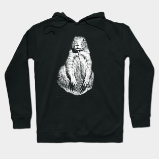 Prairie dog Hoodie